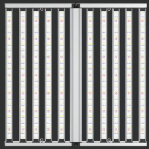 RT-FAS1100( 10 Tubes)