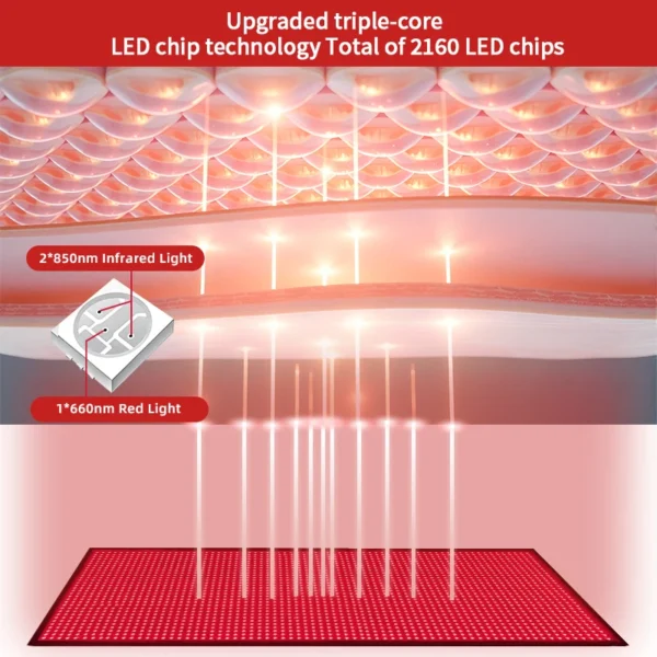 REDSKY Large Red Light Therapy Pad 660nm Red Light 850nm NIR Full Body Therapy Mat Fabric Material Model AD-D180-200 for Yoga image 5